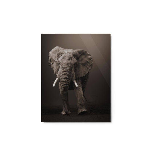 Glossy Metal Print: "Elephant"