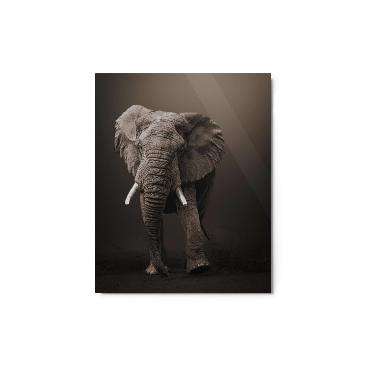 Glossy Metal Print: "Elephant"